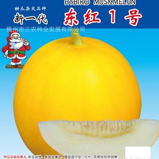 Ɩ|t1̖۹ϰɰǹϸ߮aļˮ߲˷N