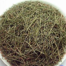 中药材 松针 白松针茶长白山正品野生全松茶马尾松松树针叶干500g
