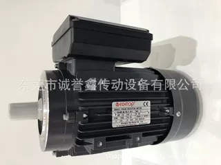 TECHNOBI电机TN71B4 0.37KW  原装意大利AC电机
