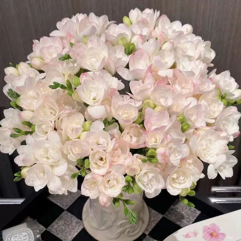 Луковицы фрезии, луковицы фрезии цветут в любое время года, большие луковицы импортировали двойные лепестки, легко кормить цветы, семена цветов для балкона.