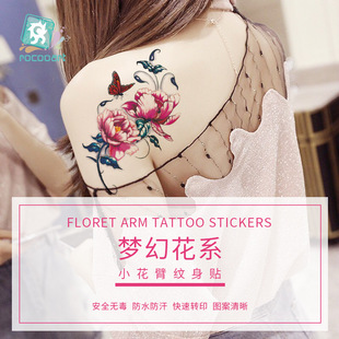 �y���N���û�����ë������Ų�С����ins�L��ˮ�־ÿ羳؛Դ