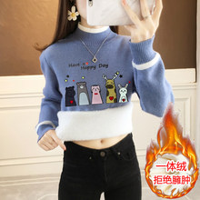 һ�w�që��Ů2026�궬���ӽq�Ӻ���и��а���I�WԺ�L��Ů�b