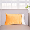 Swan, bar, two-color decorations, pillow for side table, pillowcase, Scandinavian sofa, Amazon, increased thickness