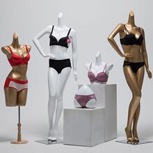 内衣模特聚拢道具女全身模型内衣店橱窗展示拍摄泳衣胸罩半身衣架