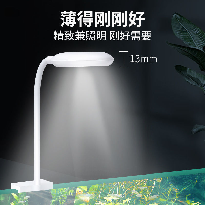 Aquarium, LED energy-saving night light, small lights, aquatic plants
