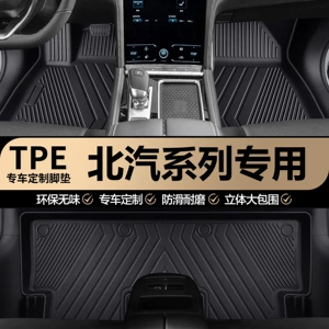 Baic Eu5/Eu7/Ec3/Ex360/Bj20/Bj60 Magic Cube Yuanbao Special Full-Coverage Tpe Car Floor Mats
