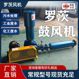 罗茨鼓风机厂家直销气体输送罗茨真空泵低噪音脱硫脱硝罗茨风机