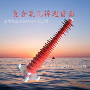 HY10WZ-100/260 power station type lightning arrester YH10WZ-102/266 zinc oxide lightning arrester 110KV