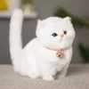 Pure white chubby cat (can bark + bell) ~ grab it now for a limited time sale