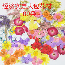 �ɻ��˱����σ�ͯ�ֹ�diy�ʊy���z���ՔzӰ��ӡ�������