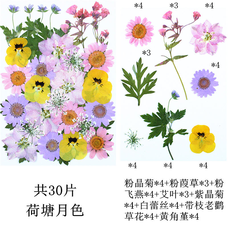 연꽃 연못 달빛