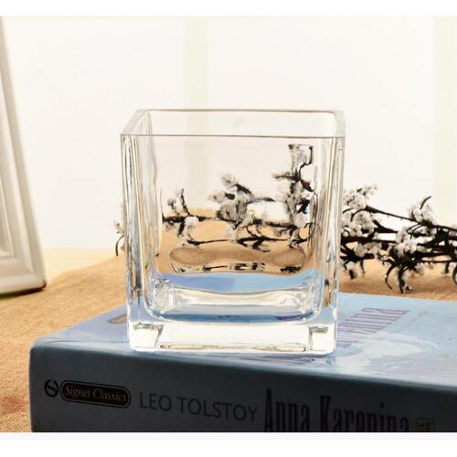 Micro landscape container decoration transparent square succulent flower pot glass hydroponic vessel square cylinder vase glass bottle