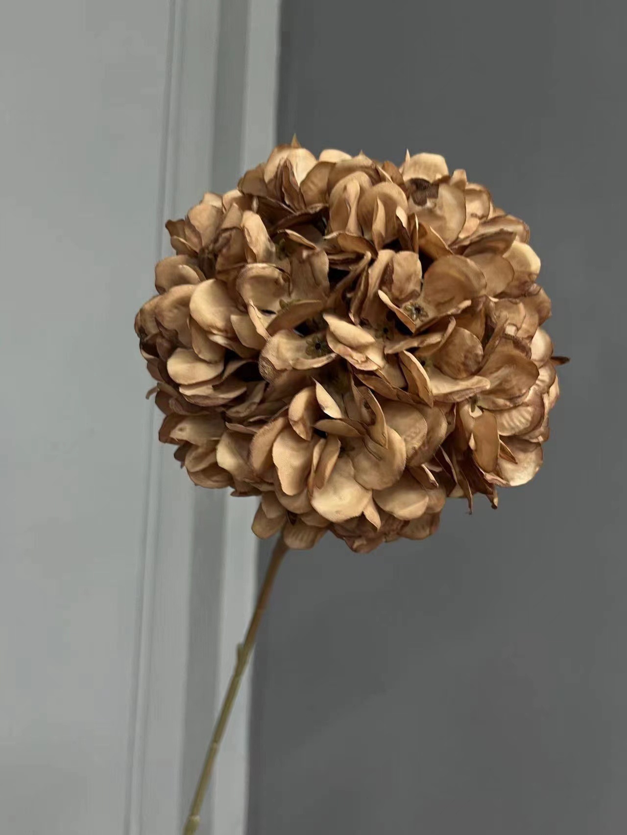 微信图片_20231202093735