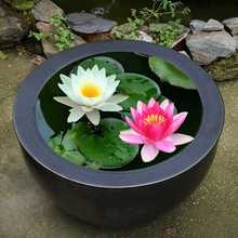 ˯ɏˮ��ֲ���ļ�ˮ�B�ɻ�ˮɏ�����Ի���ˮ������˯ɏ���K������