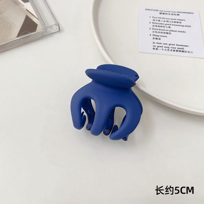 Cascada alta cola de caballo artefacto fijo clip pequeño horquilla femenino 2025 nuevo sombrero de clip de sentido avanzado en la parte posterior de la cabeza