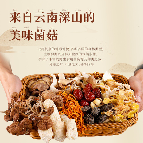 Nongjiyuan Colorful Mushroom Soup Pack - Yunnan Specialty Mushroom Soup Base - Oyster Mushroom and Reishi Dry Soup Packet