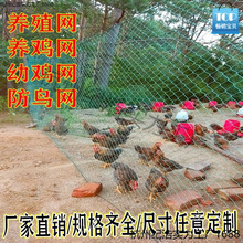 100׼BuWBֳWˈ@WoھWBuW