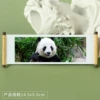Panda 147