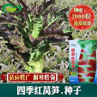 �t�n�S�N���ͺ��A�~�t�n�S�n�ķN�Ѵ��＾�Ϸ������ļ����߲˷N��
