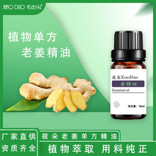 ������ ���R����ȡ�l����i�^�������_������Ħ ����Ժ�S��ֱ�N