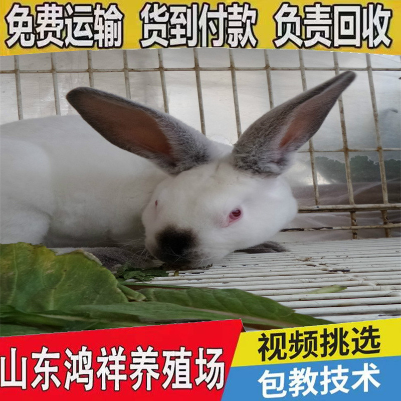 970_22046800-2768-n928-65hc-n2