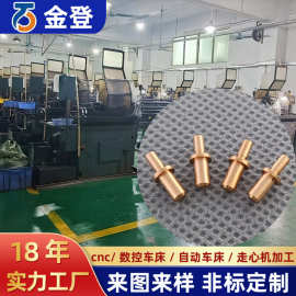 源头工厂非标五金件铜铁铝自动车床加工紧固件机械配件精密五金件