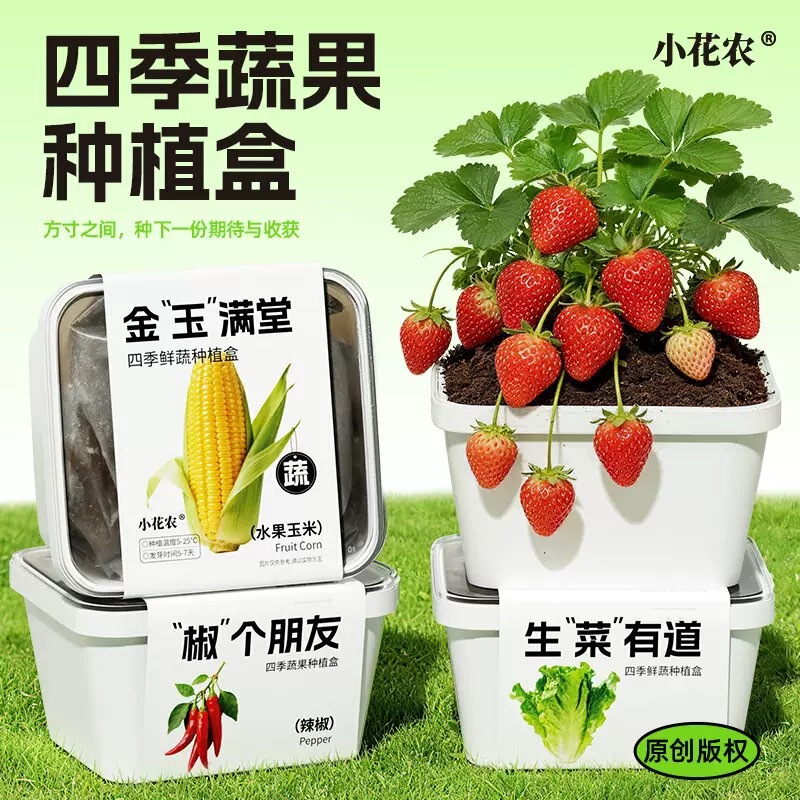 Children's Planting and Horticulture Science Experiment Kit for Growing Vegetables and Fruits, Elementary School Plant Growth Observation Box Children's Planting and Horticulture Science Experiment Kit for Growing Vegetables and Fruits, Elementary School Plant Growth Observation Box