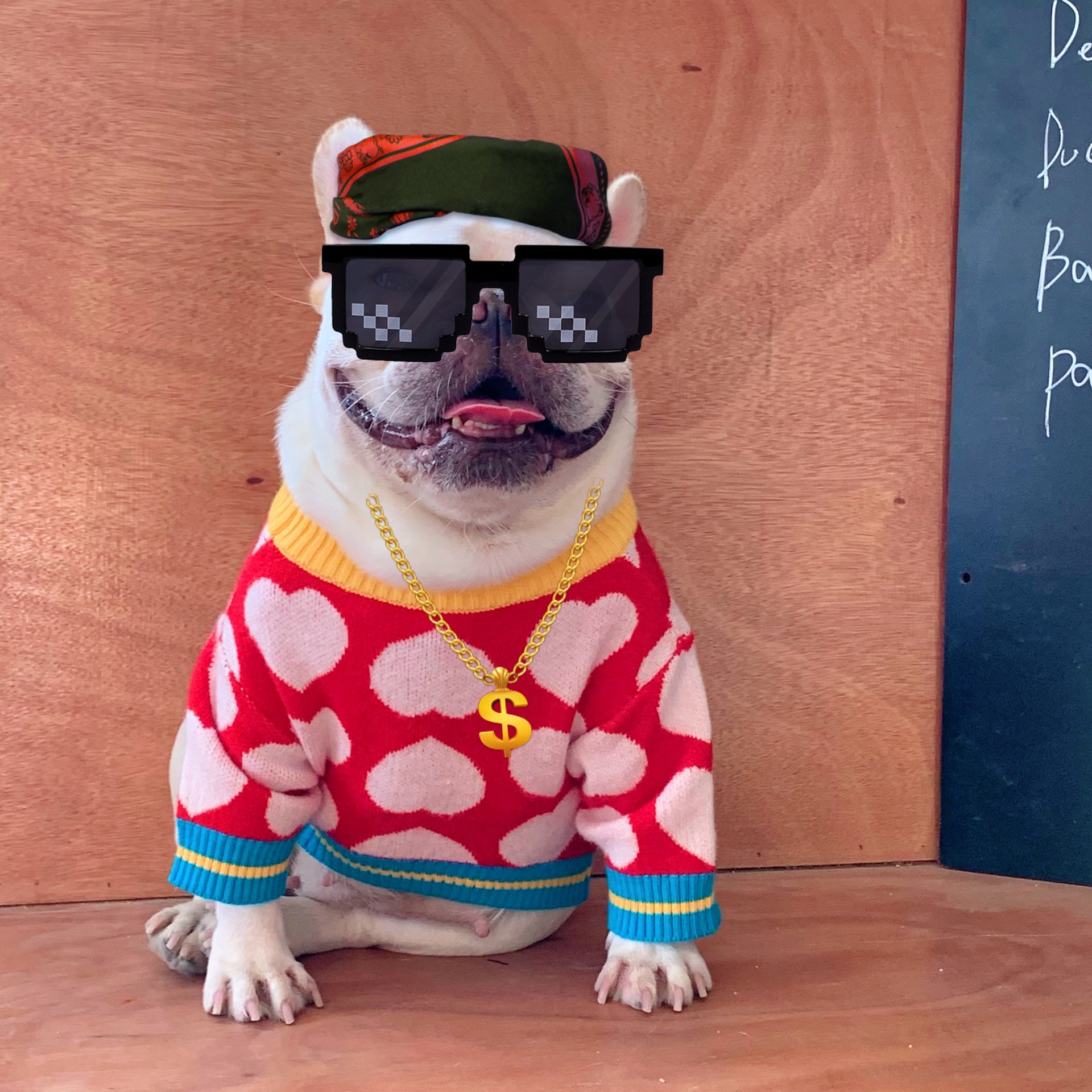 Pet Hoodie Image 2