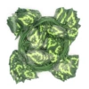 30 begonia leaves