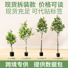 �羳���W�L����晎�ʘ䎧�������b�������҃ș��ʘ�Gֲ�٘�