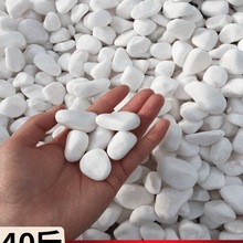 天然白石子碎石头庭院鹅卵石铺地阳台装饰花园造景观砾石白色石子