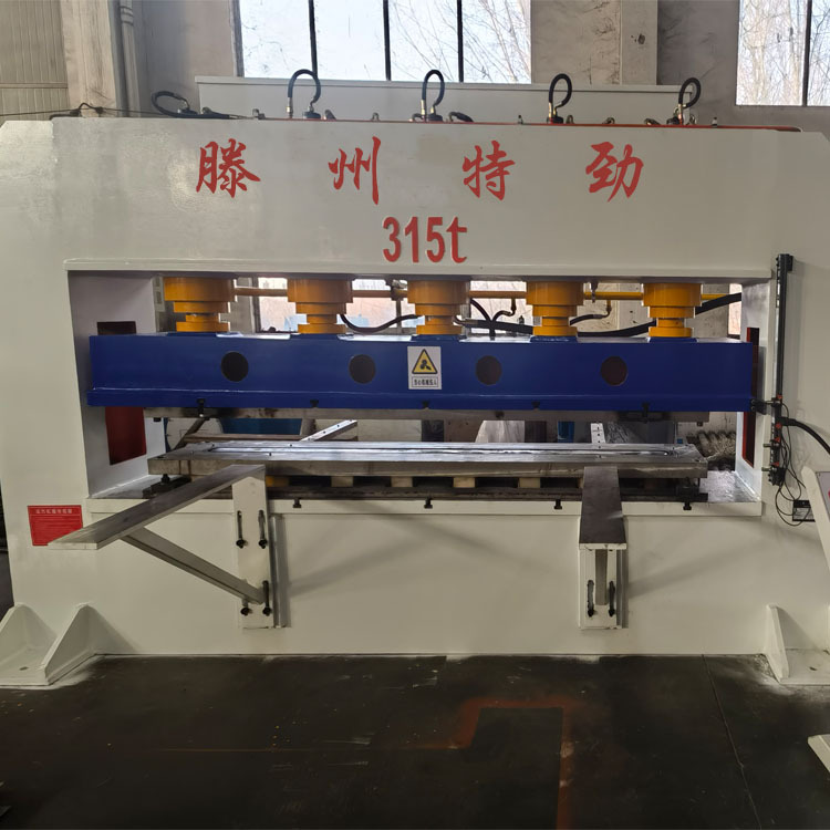 特劲315吨框架式液压机 集装箱底板成型液压机 不锈钢门板液压机