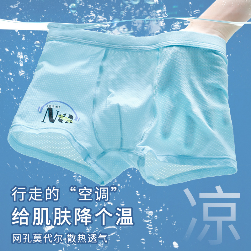 Youth Underwear Boys Modal Underwear Student Ice Silk Breathable Boys Middle School High School Big Kids Shorts