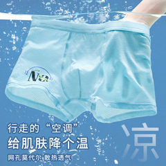 Youth Underwear Boys Modal Underwear Student Ice Silk Breathable Boys Middle School High School Big Kids Shorts