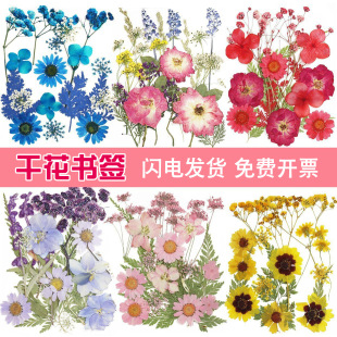 �ɻ�diy���ϰ�����������Ѻ���ֹ����z�����滨ֲ����~�˱�����