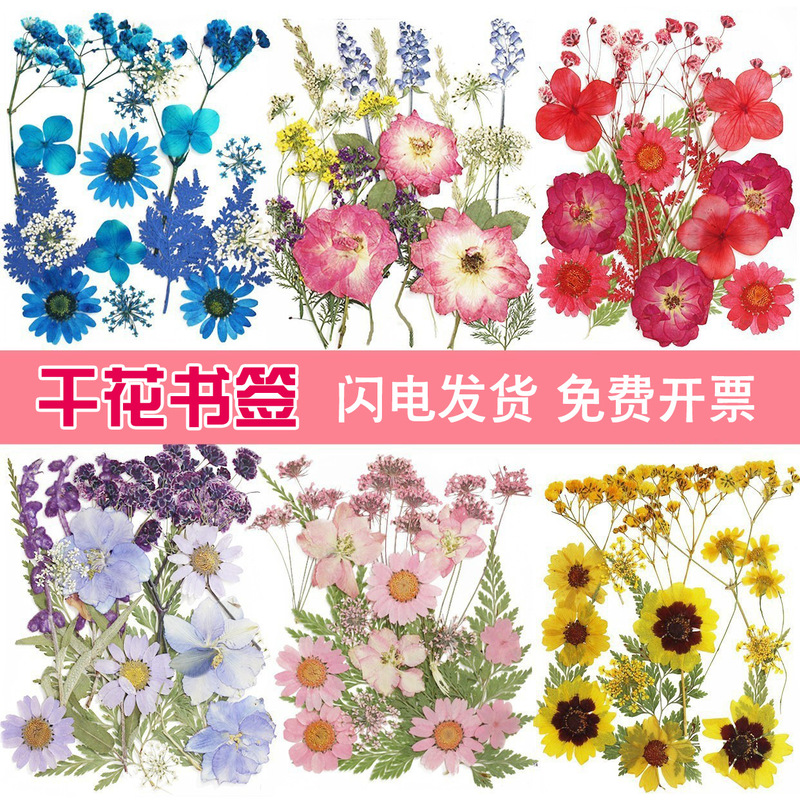 Dried Flower DIY Material Kit, Preserved Flowers, Pressed Flowers, Handmade Resin Bookmarks, Real Flower Plant Leaf Specimens