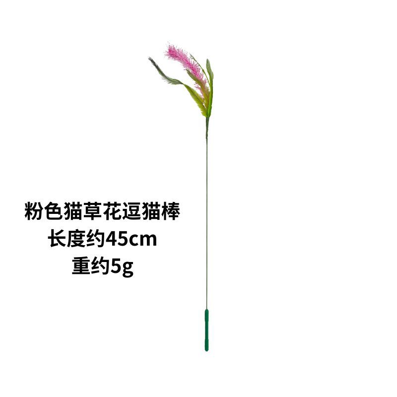 핑크 고양이 잔디 꽃 고양이 재미 있은 스틱