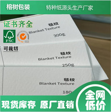 广东源头生产厂家现货120克 -350克787*1092MM 毯纹压纹特种纸