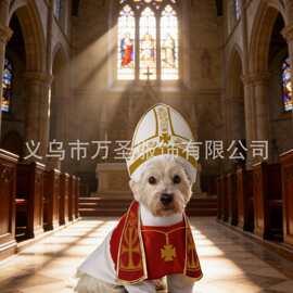 跨境万圣节圣猎犬宠物狗狗服装