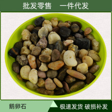 �Z��ʯ500�� �껨��ʻܠI�B�����|�I�BҺ����С���ԼҾ���ֲ