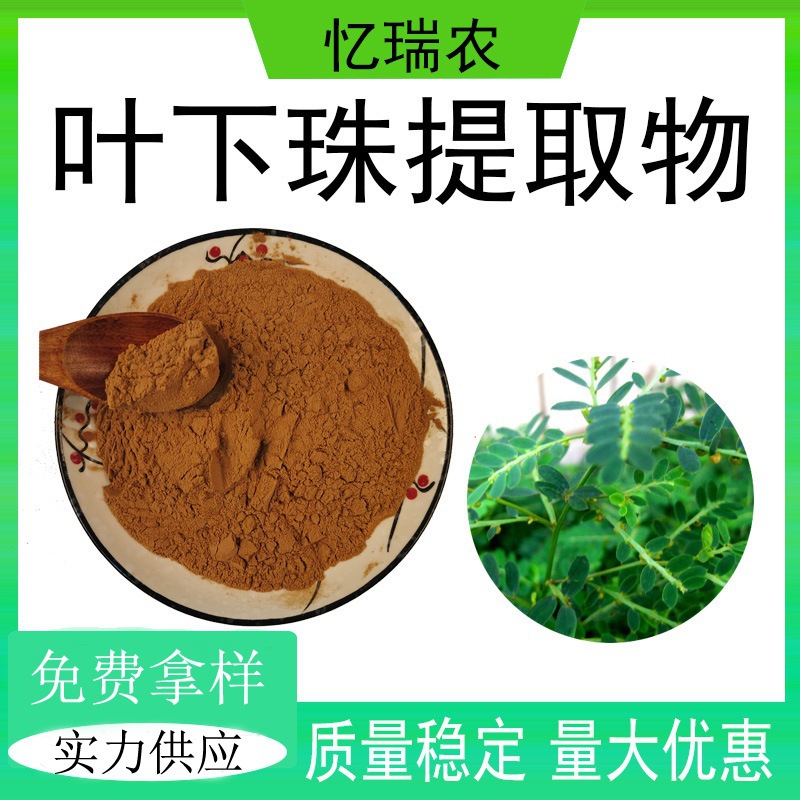 10:1叶下珠提取物珍珠草提取物水溶性珍珠草粉食品级原料源头工厂