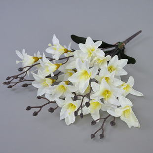 ����20�^С�ٺϰѻ��Wʽ���ŷ��滨�̈�������չ��ˇ�b[���ٻ�