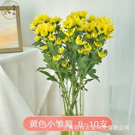 鲜切花;干花;栽培基质