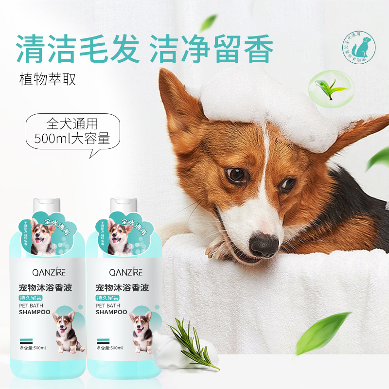 Shampoo