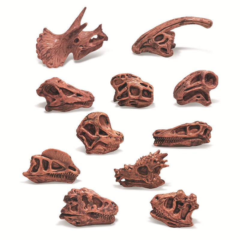 Transfronterizos de venta caliente simulación sólida modelo de cráneo de dinosaurio estático T. rex Velociraptor esqueleto arqueológico juguetes para niños