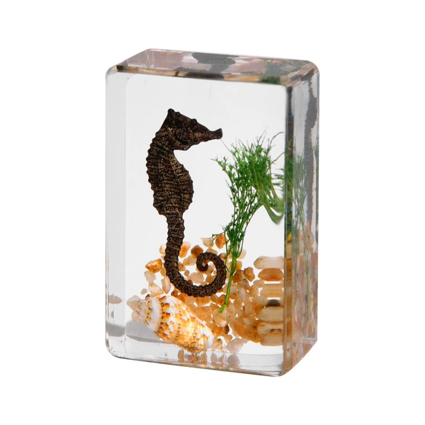 4.5CM small simulated seahorse seascape