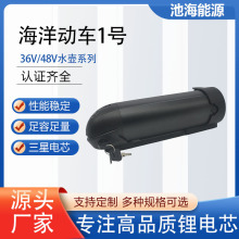 36V11.6AH海洋動車1號鋰電池48v電動山地自行車鋰電池廠家批發