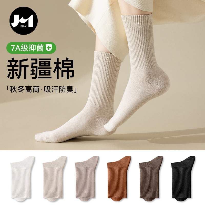 Lefu Shoes and Socks Women's Autumn and Winter Cotton Long Tube Mary Jane Small Leather Shoes Stacked Socks Women's Stockings