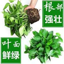 G}Գȩmkҿ͏dˮֲ҃LlGj]