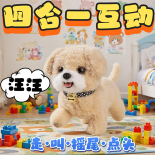 ��߹�����·���з���С��늄���ż���ӵ���ӌ��ﹷ2025�¿�K